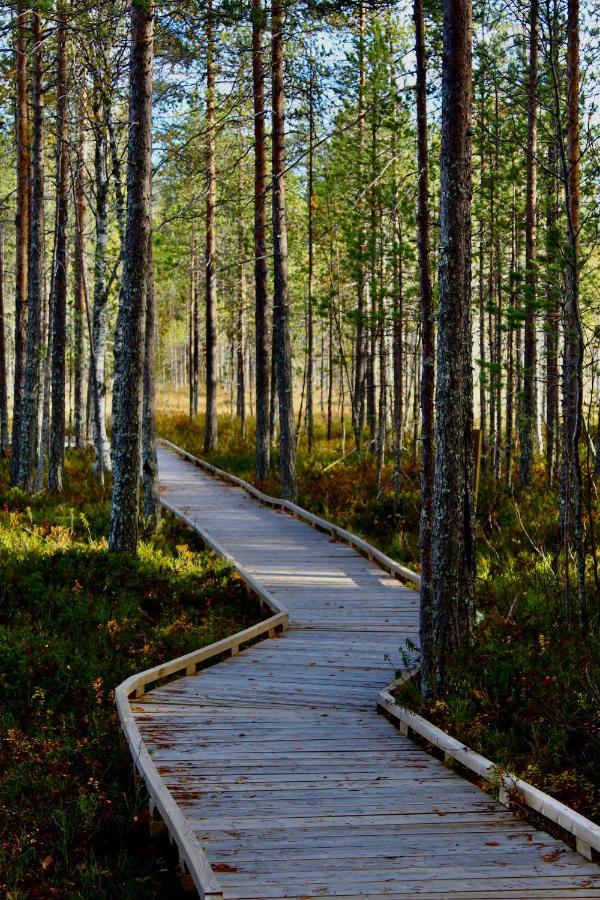 Kaetkae Lake Lodge Tervola Екстериор снимка