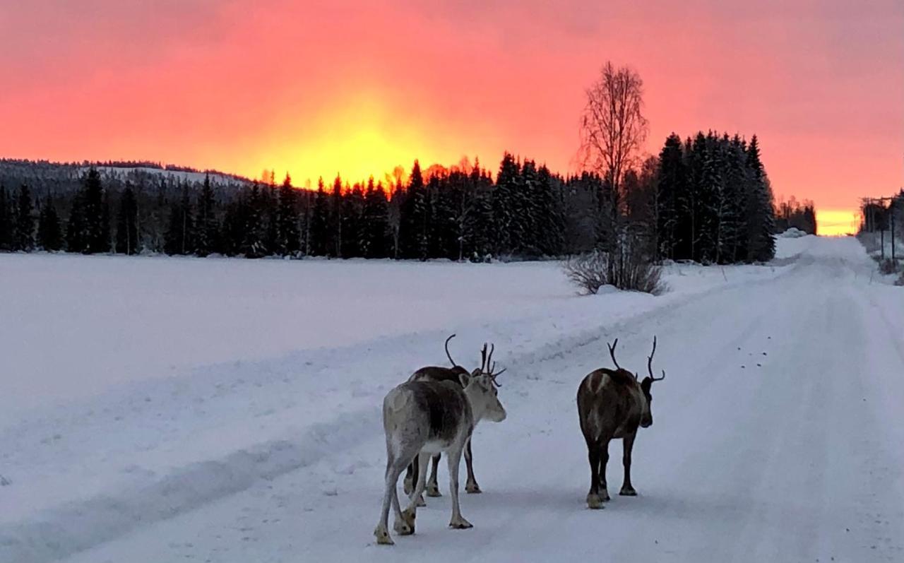 Kaetkae Lake Lodge Tervola Екстериор снимка