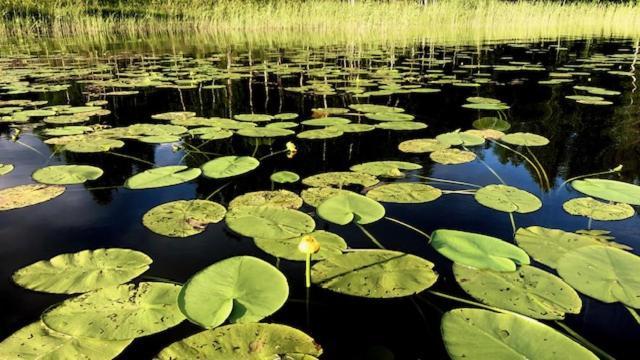 Kaetkae Lake Lodge Tervola Екстериор снимка